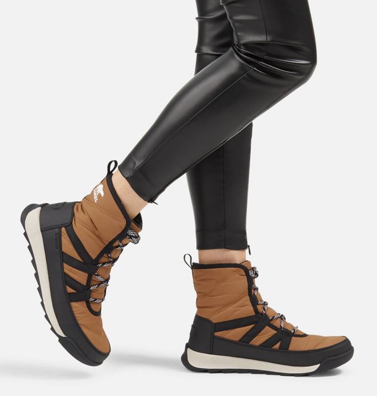 Sorel Dam Vinterkängor Brun/Svarta - Whitney™ Ii Short Lace Låga - TWU-043978